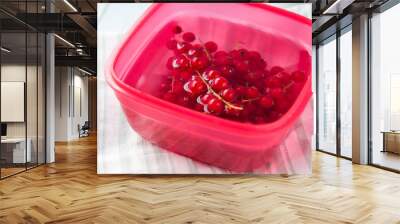 Red currant washed in water in bowl Wall mural