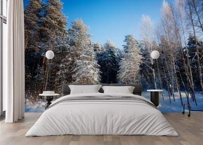 Trees are in the forest in winter under snow - landscape Wall mural