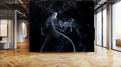 Smoke on the black background Wall mural