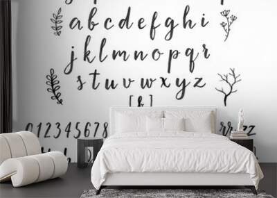 Calligraphic vector font with numbers, ampersand and symbols. Wall mural