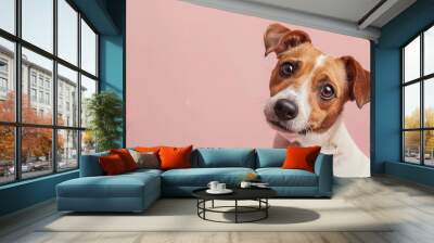 Adorable jack russell terrier dog with curious questioning face isolated on light pastel background with copy space. Studio portrait photo. Wall mural