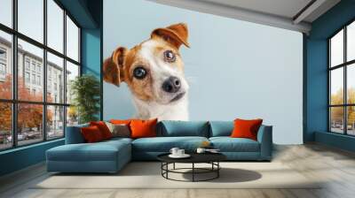 Adorable jack russell terrier dog with curious questioning face isolated on light pastel background with copy space. Studio portrait photo. Wall mural