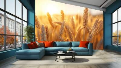 spikelets in the wheat field Wall mural