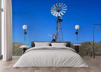 Desert Windmill Wall mural