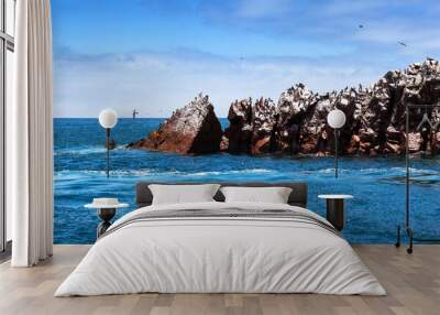 island and birds Wall mural