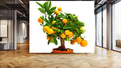 tangerines on a tree Wall mural