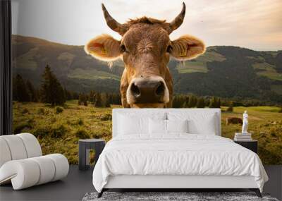 brown and black swiss cows on mountain pasture in Switzerland Wall mural