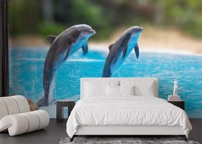 Dolphins jumping during the dolpin. Spain. Two beautiful common bottlenose dolphins in captivity. Wall mural