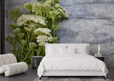 Common yarrow Wall mural