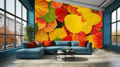 Colorful Aspen tree leaves on ground with water drops Wall mural