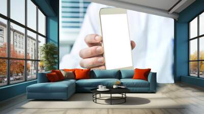 Doctor holding smartphone with empty blank white screen. Medical professional, physician, nurse or dentist showing mobile phone with copy space. Wall mural