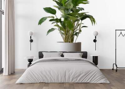 A potted plant sits on a wooden stand Wall mural