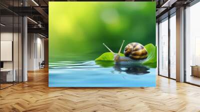 A snail in a pond on a leaf Wall mural