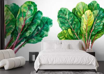 Four different types of leafy greens are shown in a row Wall mural