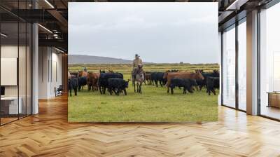 Cowboys on Horses Working cattle in Colorado in the rain Wall mural