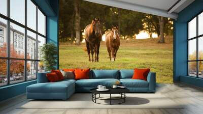 Horse Friends Wall mural