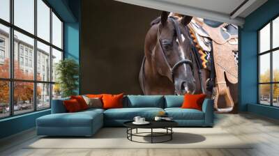 Paint Horse Stallion Wall mural