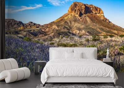 Field of blue bonnets along side Cerro Castellan. Wall mural