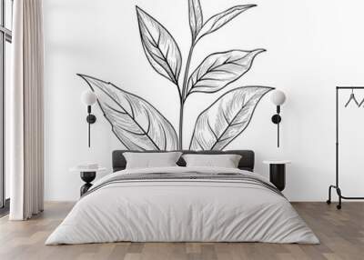 Green tea branch. Tea leaves sketch hand drawn herb plant Wall mural