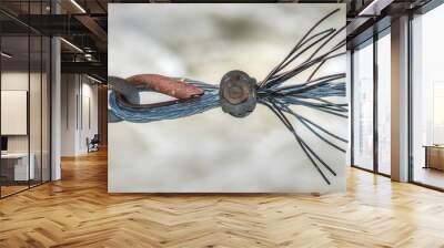 frayed steel cable wire from a guard rail Wall mural