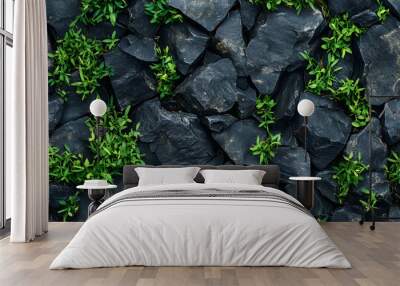 Natural background with top view of grass on the rocky ground (seamless, repeatable, tile) Wall mural