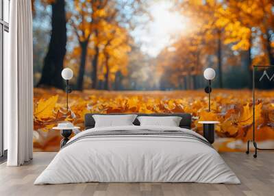 Orange fall leaves in park, autumn natural background Wall mural