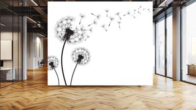 Vector illustration dandelion time. Black Dandelion seeds blowing in the wind. The wind inflates a dandelion isolated on white background. Wall mural