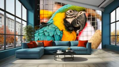 Blue and gold macaw parrot on a branch Wall mural