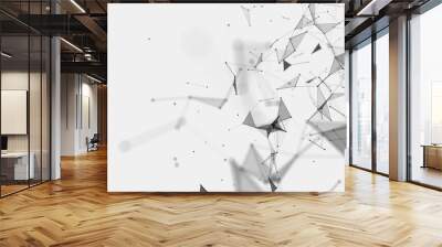 Abstract background consisting of triangles in space. Polygonal white background. Plexus effect. 3d rendering. Wall mural