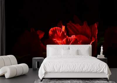 Black background. Red beautiful flower in the center. Wall mural