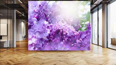 Branches of a blossoming lilac closeup. Wall mural