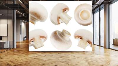 Champignon mushrooms close-up isolated on white background Wall mural