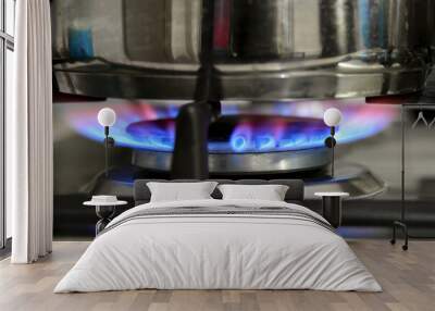 Gas cooking. The blue flames of the gas heat the food in the container. Wall mural