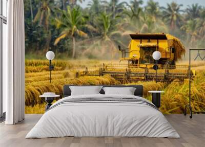 Golden rice harvest at dusk with a combine working through lush fields in a rural landscape Wall mural