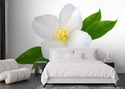 Jasmine flower with leaves  isolated on white background Wall mural