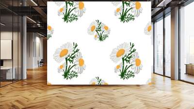 Seamless pattern with field daisies. Vector illustration Wall mural