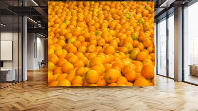 Mass of ripe citrus fruits orange background. Orange Cannery Wall mural