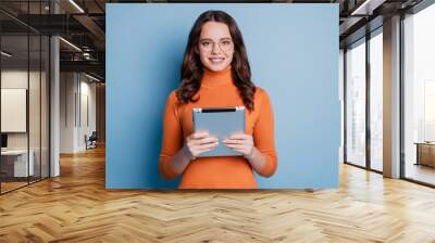 Photo of charming business lady hold tablet beaming white smile posing on blue background Wall mural