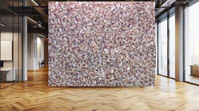 Rice pink matta devzira background. Grains of rice devzira close-up. Pink rice for cooking Uzbek pilaf. Wall mural