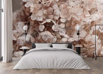 Beautiful background of dry faded Hydrangea flowers in vintage style, close-up. Natural soft monochrome pastel colors. Selective focus. Petal structure. Floral texture Wall mural