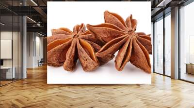 Star anise spice and isolated on white background Wall mural