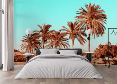 topical landscape, palm trees on summer beach on blue sky background Wall mural