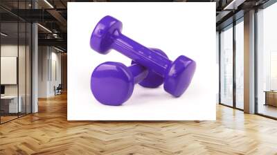 Two violet dumbbells isolated on white background Wall mural