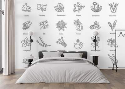 Condiment and herbs icons set. Outline set of condiment vector icons Wall mural