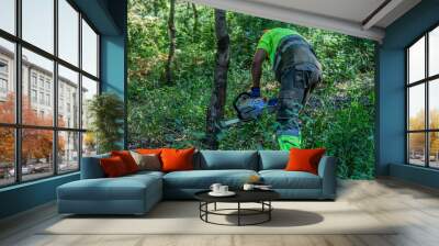 forest worker felling trees with chainsaw Wall mural