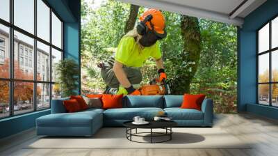 forest worker working in the forest with the chainsaw Wall mural