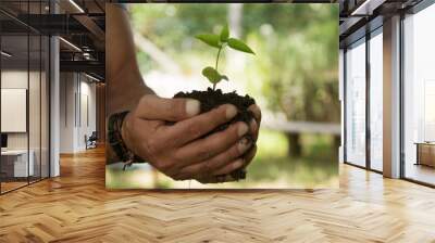 hands holding young plant, life and ecology growth concept Wall mural