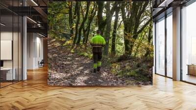 lumberjack or forest worker walking through the forest Wall mural