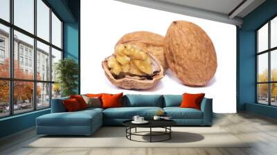 walnuts isolated on white Wall mural