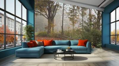 Serene autumn Upstate New York, featuring beauty of the foggy fall mornings Wall mural